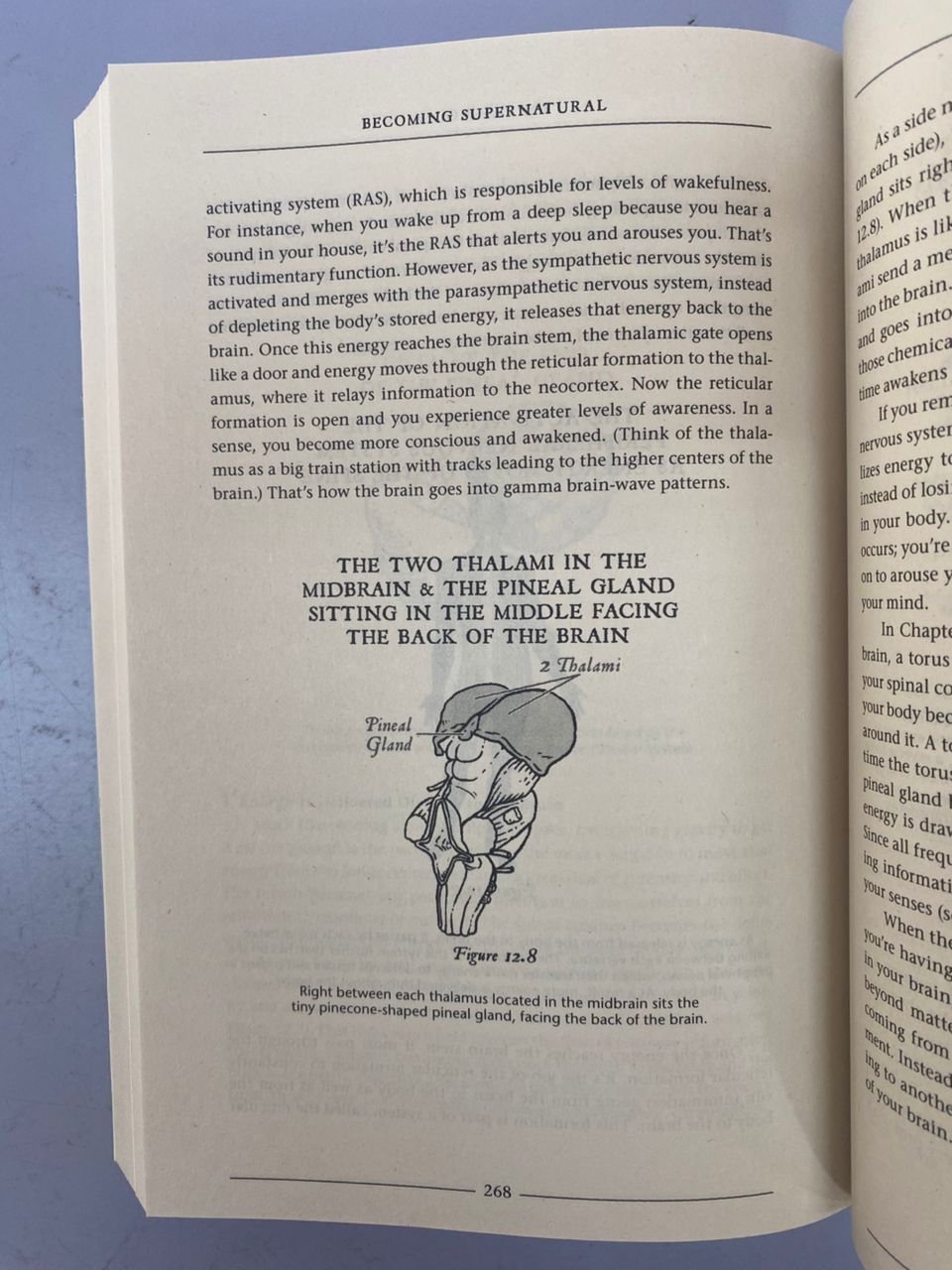 Becoming Supernatural